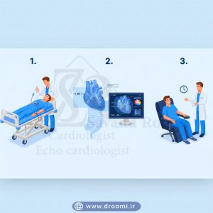 مراحل انجام اکو مری از طریق مری (TEE) – تصویر تجهیزات و وضعیت بیمار در حین انجام