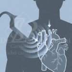 نمای آموزشی از ارسال و بازتاب امواج اولتراسوند در اکو قلب بدون اشعه و غیرتهاجمی