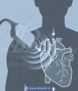 Cover image for صدای قلب