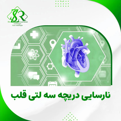 نارسایی قلب دریچه سه لتی