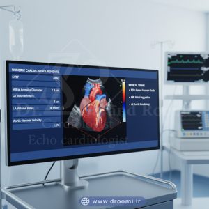 اینفوگرافیک پزشکی شامل اعداد و اصطلاحات پرکاربرد در گزارش اکو مری مانند اندازه بطن چپ، EF و سرعت جریان خون