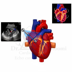 نمای نزدیک از اکو مری سه‌بعدی با وضوح بالا که جزئیات قلب را با دقت و عمق واقعی نشان می‌دهد