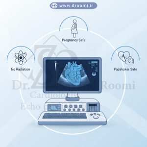 تصویر شماتیک نشاندهنده ایمنی اکوکاردیوگرافی برای زنان باردار، افراد با پروتز یا ایمپلنت قلبی و سایر شرایط خاص