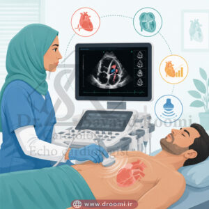 تصویر وکتور پزشکی از متخصص قلب زن با حجاب بالینی در حال انجام سونوگرافی قلب روی بیمار بزرگسال در محیط کلینیک.