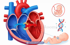  تصویر آموزشی قلب با حفره‌ای بین حفره‌ها و نمایش جریان غیرطبیعی خون در نوزاد.