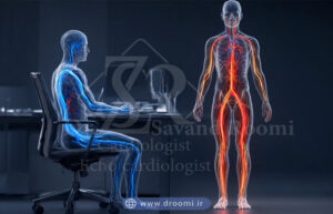 مقایسه گردش خون کند در حالت نشسته در برابر جریان سریع و پویا در حالت ایستاده و فعالیت.